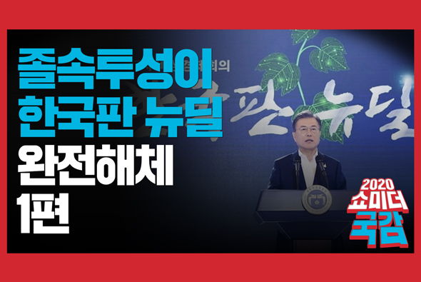 [쇼미더국감 2020 이영 의원] 대한민국 전 부처가 달라붙은 '한국판 뉴딜', 아무것도 모르는 국무조정실!