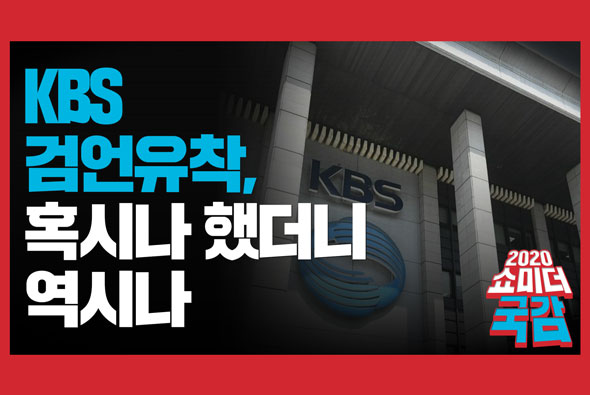 [쇼미더국감 2020 황보승희 의원] KBS 검언유착, 혹시나 했더니 역시나