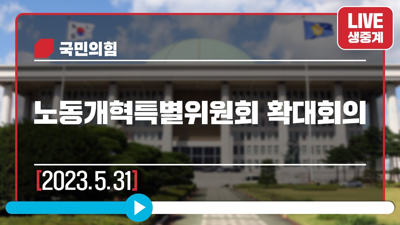 [Live] 5월 31일 노동개혁특별위원회 확대회의